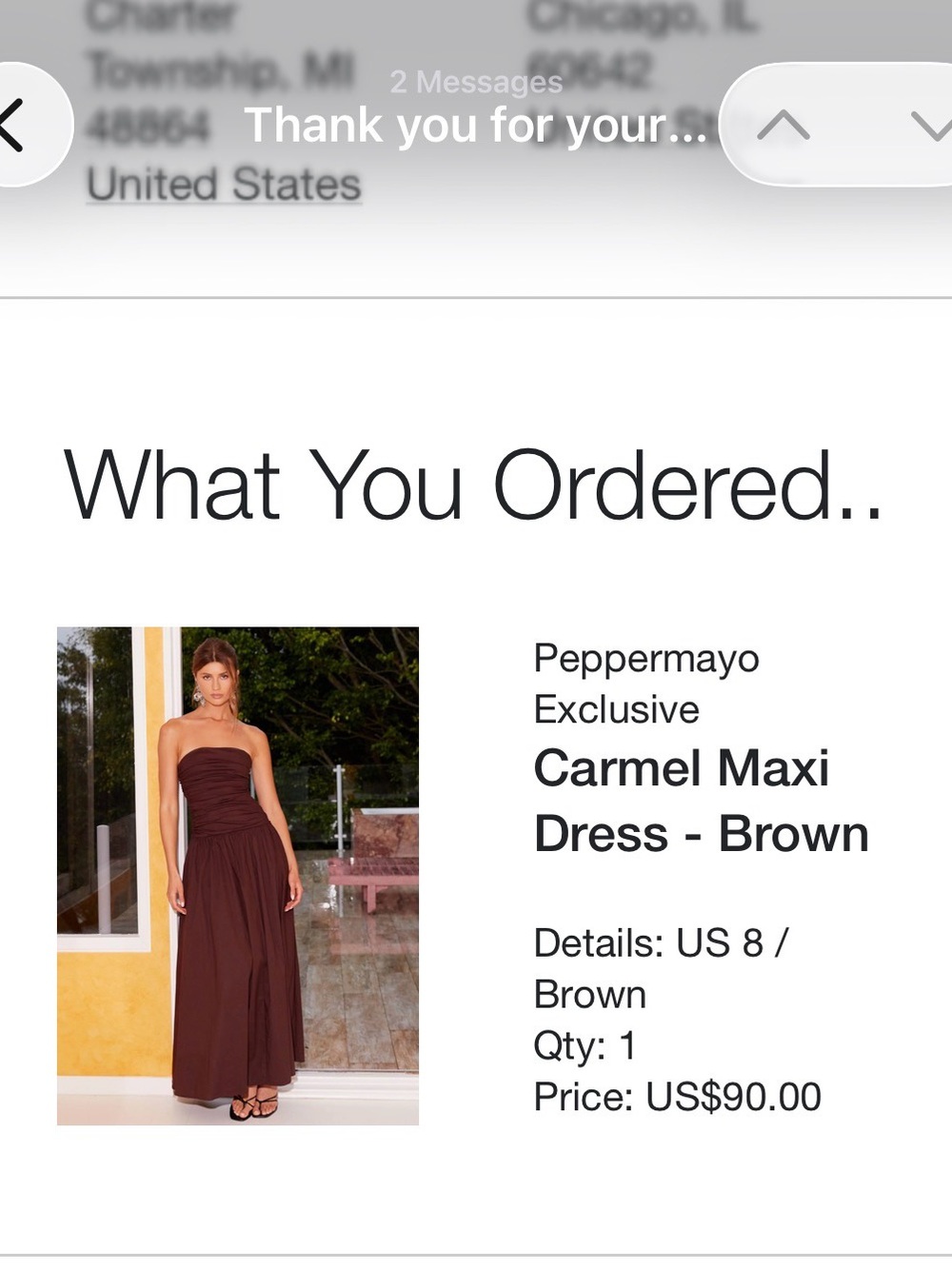 Strapless Ruched Maxi Dress in Chocolate Brown - Picture 4 of 4